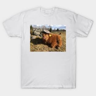 Scottish Highland Cattle Calf 1752 T-Shirt